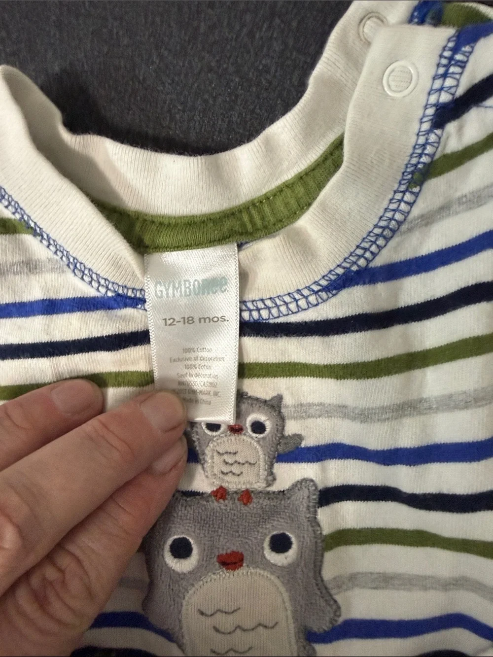 Gymboree long sleeve